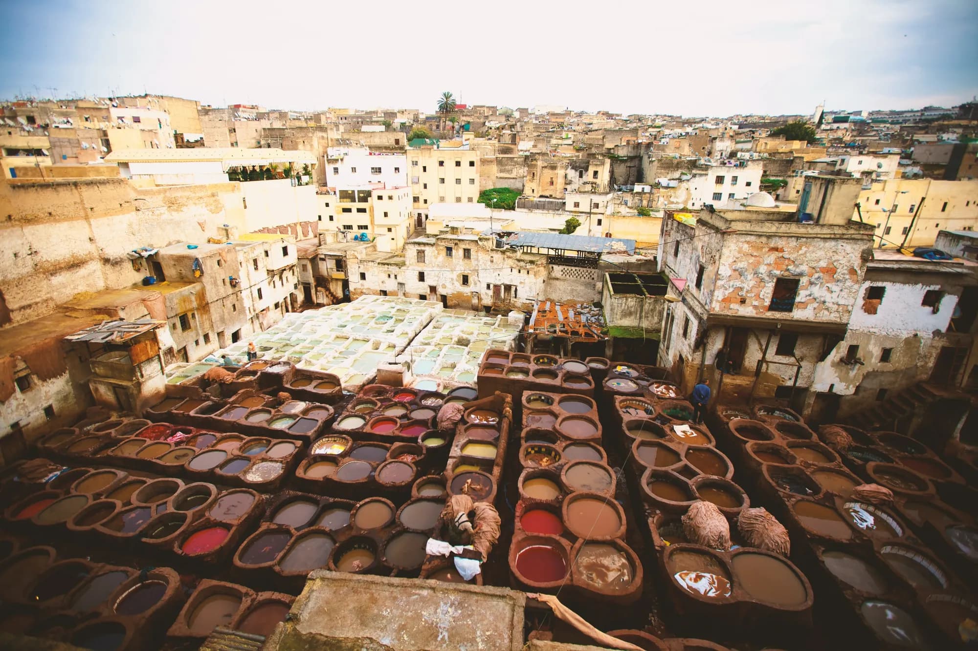 The Chouara tannery pits in the Fes medina, Morocco